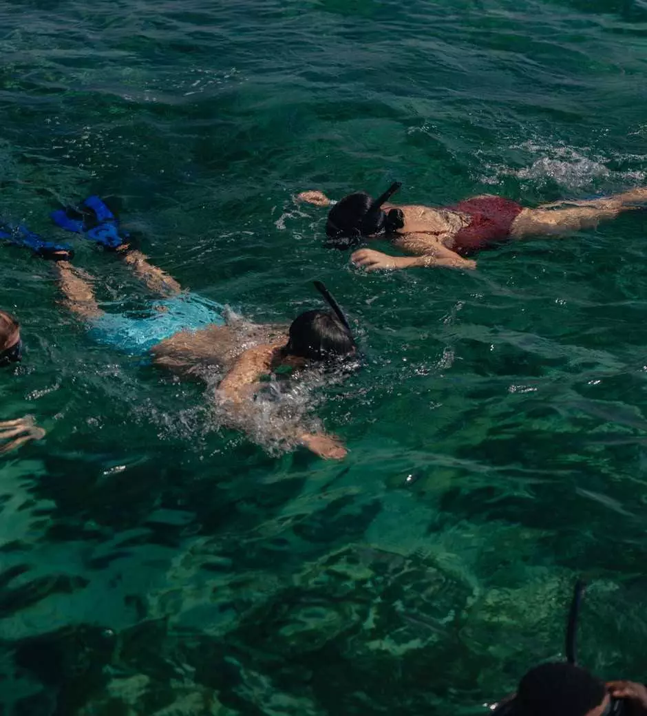 Snorkel